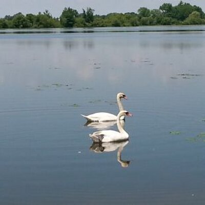 Kris Couch - Twitter Profile Picture of Kris Couch (@CouchKris) on Twitter