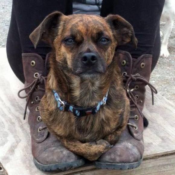 Profile Picture of Odin Feierstein (@odin_feierstein) on Poshmark