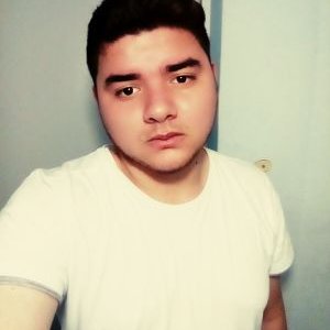 Profile Picture of Luis Fernando Lopez Mendivil (@FerFerlopez123) on Twitter