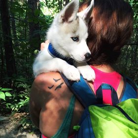 Profile Picture of Alexandra Roeder (@mccallum93) on Pinterest