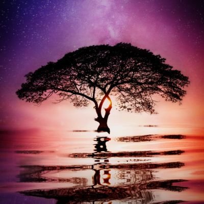Profile Picture of Mohammad Aljabri (@M0_Ghazi) on Twitter