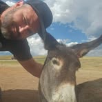 Profile Picture of Casey Pedersen (@casey.pedersen.644521) on Facebook