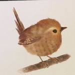 Profile Picture of Kym Wheeler (@thelittlebrownwren) on Instagram