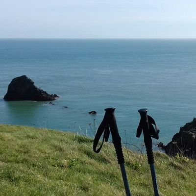 Profile Picture of Sue Jamieson (@SouthDevonSue) on Twitter