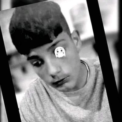 Profile Picture of Alex Danis (@AlexDanis14) on Twitter