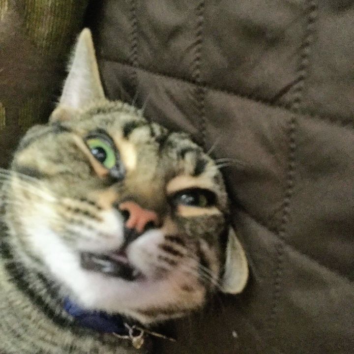 Profile Picture of eeervin_ (@eeervin_) on Tiktok