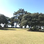 Profile Picture of Josh Montgomery (@jmontybayside) on Instagram