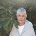 Profile Picture of Jean Delory (@jean.delory.7) on Facebook