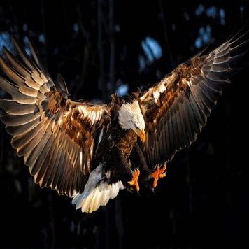 Profile Picture of Luis Delfin Chavez (@0882622110d9436) on Twitter