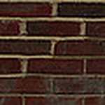 Profile Picture of Fulya Guney (@fulya guney) on Flickr