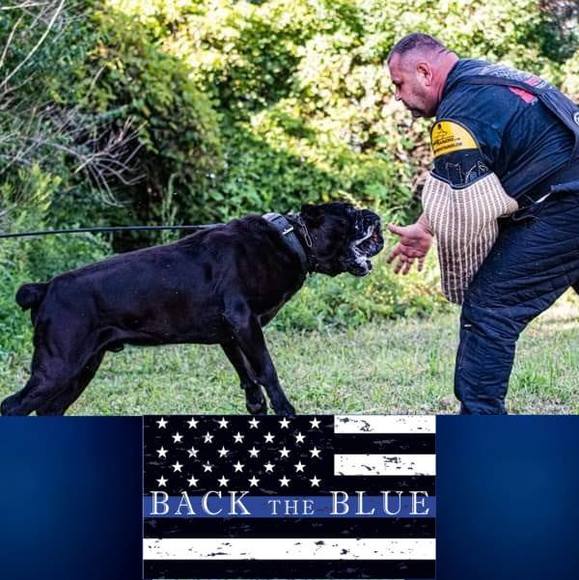 Profile Picture of Marcin Proszek (@buboss) on Poshmark