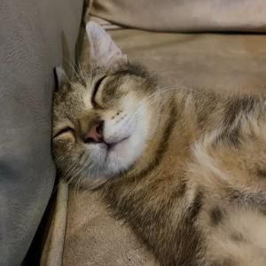 Profile Picture of roby garrett (@roby0garrett) on Tiktok