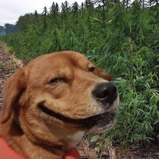 Profile Picture of Brian Beaton (@utterlytrash47) on Twitter