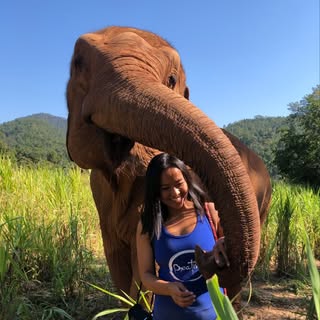 Profile Picture of Hoa Nguyen (@hoanguyen) on Instagram