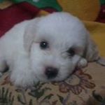 Profile Picture of Agnes Alvarez (@agnes.alvarez.0483) on Instagram