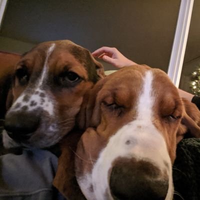 Profile Picture of Steve Hertz (@SteveHertz6) on Twitter