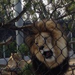 Profile Picture of Randy Emelo (@randyemelo) on Instagram