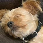 Profile Picture of Jesse Guzman (@xjesseguzman) on Instagram