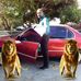 Profile Picture of Andrew Ormsby (@andrew.ormsby.779) on Facebook