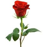 Profile Picture of Trigueros Trigueros (@mayra.trigueros.777) on Instagram