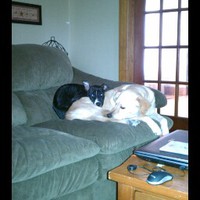 Profile Picture of Justin Summerfield (@justin-summerfield-3) on Quora