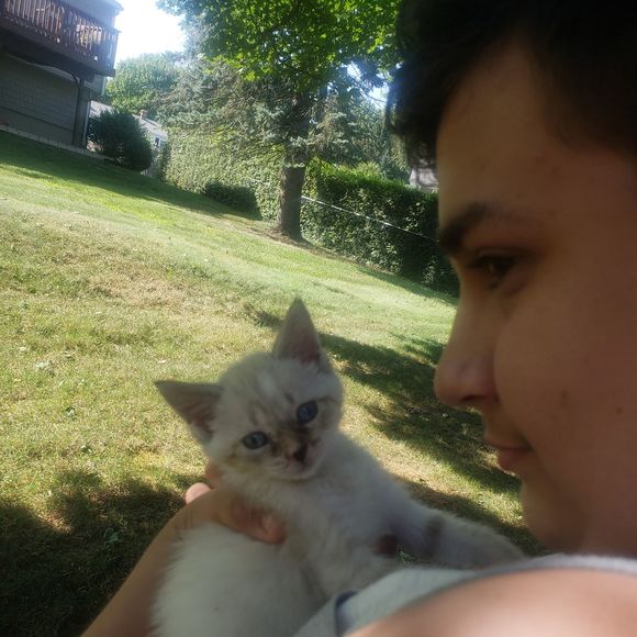 Profile Picture of Amber Schulte (@ajjjschulte) on Poshmark