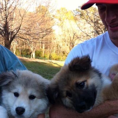 Profile Picture of Dan Hatcher (@danjhatcher) on Twitter
