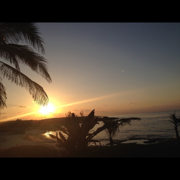 Profile Picture of Julie Mirner (@trees_infall13) on Poshmark