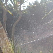 Chase Norris - Youtube Profile Picture of Chase Norris (@chasenorris5829) on Youtube