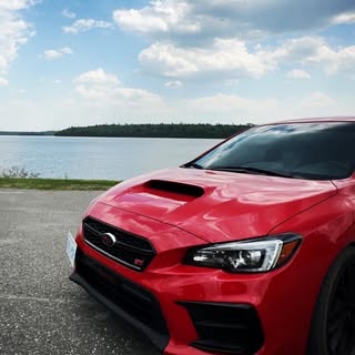 Profile Picture of Alex Danis (@alex.danis) on Instagram