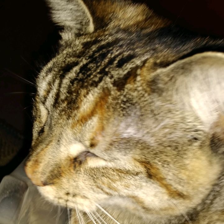 Profile Picture of danielhamboy (@danielhamboy) on Tiktok