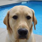Profile Picture of Patrick Cutter (@patrick.cutter) on Instagram