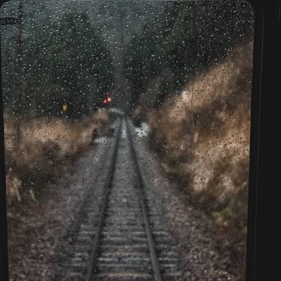 Profile Picture of Roger (El Pipita) (@KitanoKen95) on Twitter