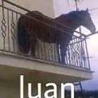 Profile Picture of   TikTok de Erick Ochoa... (@erickochoa035) on Tiktok