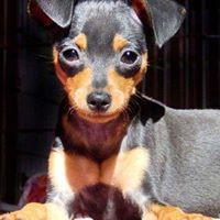 Profile Picture of Julia Kuca (@julia-kuca) on Quora