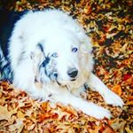 Profile Picture of alexaweilmuenster (@alexaweilmuenster) on Instagram