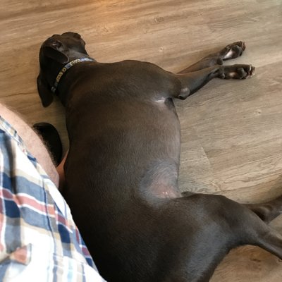 Profile Picture of Nathan Philipp (@Nathanphilipp3) on Twitter