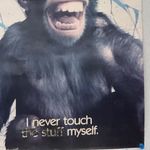 Profile Picture of Beau Manning (@beau_manning_13) on Instagram