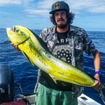 Profile Picture of Chris Veale (@c_veale) on Instagram