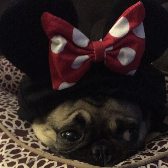 Profile Picture of Alexis Hansbury (@lelexy) on Poshmark