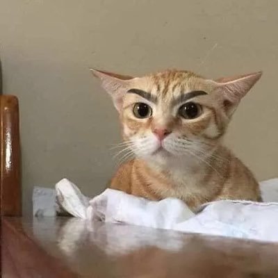 Profile Picture of Wenlin Huang (@wenlin_huang) on Twitter