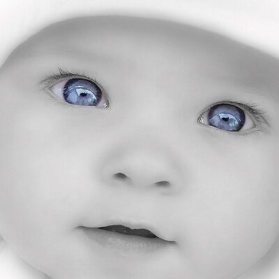 Profile Picture of Lizette Alvarez (@lizettealvarez2) on Twitter