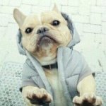 Profile Picture of Thomas Anal Anal 8-----V (@anal_giver) on Instagram