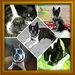 Profile Picture of Nancy Machado (@machado3575) on Pinterest