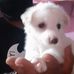 Profile Picture of Abhishek Kumar Jatav (@abhishek.kumarjatav.737) on Facebook