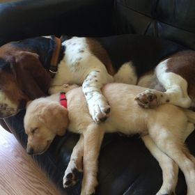 Profile Picture of Kimberly Willmette Gillespie (@kwillmette) on Pinterest