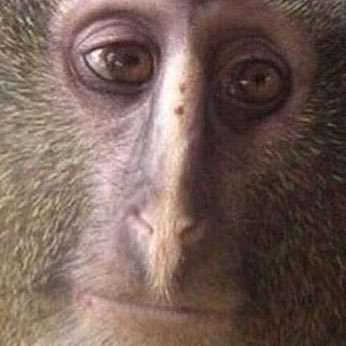 Profile Picture of JimBeemer (@JimBeemer2) on Twitter