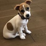 Profile Picture of Andrew Weston (@andrew.weston.03) on Instagram