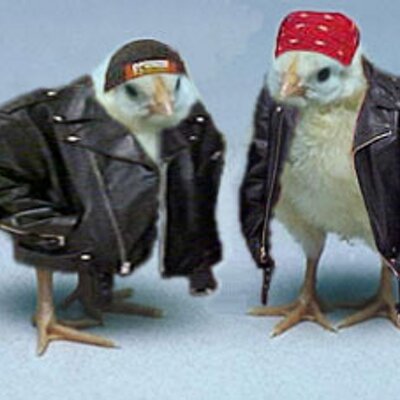 Profile Picture of Alejandro Lechuga (@AlejandroLechu3) on Twitter