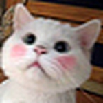 Profile Picture of Man Fong Loi (@fongvsfong) on Flickr